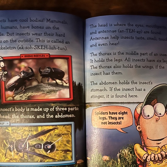 Fly Guy Presents: Insects (Scholastic Reader, Level 2) by Tedd Arnold 2015 - Picture 4 of 6